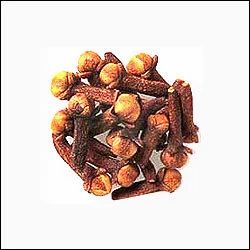 Spice Oleoresin Oils