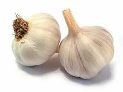 Oleoresin Garlic Oil