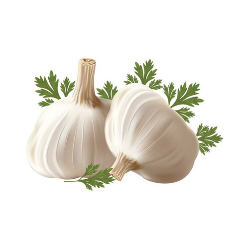 200 gm Garlic Oleoresins