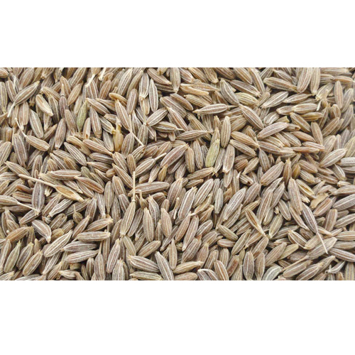 Cumin Oleoresin