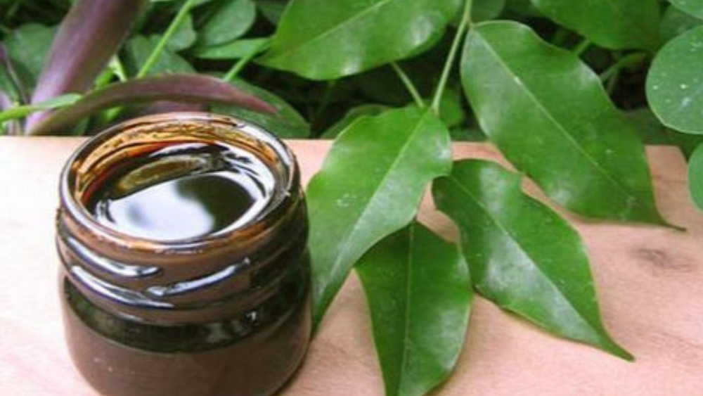 BALSAM TOLU OIL
