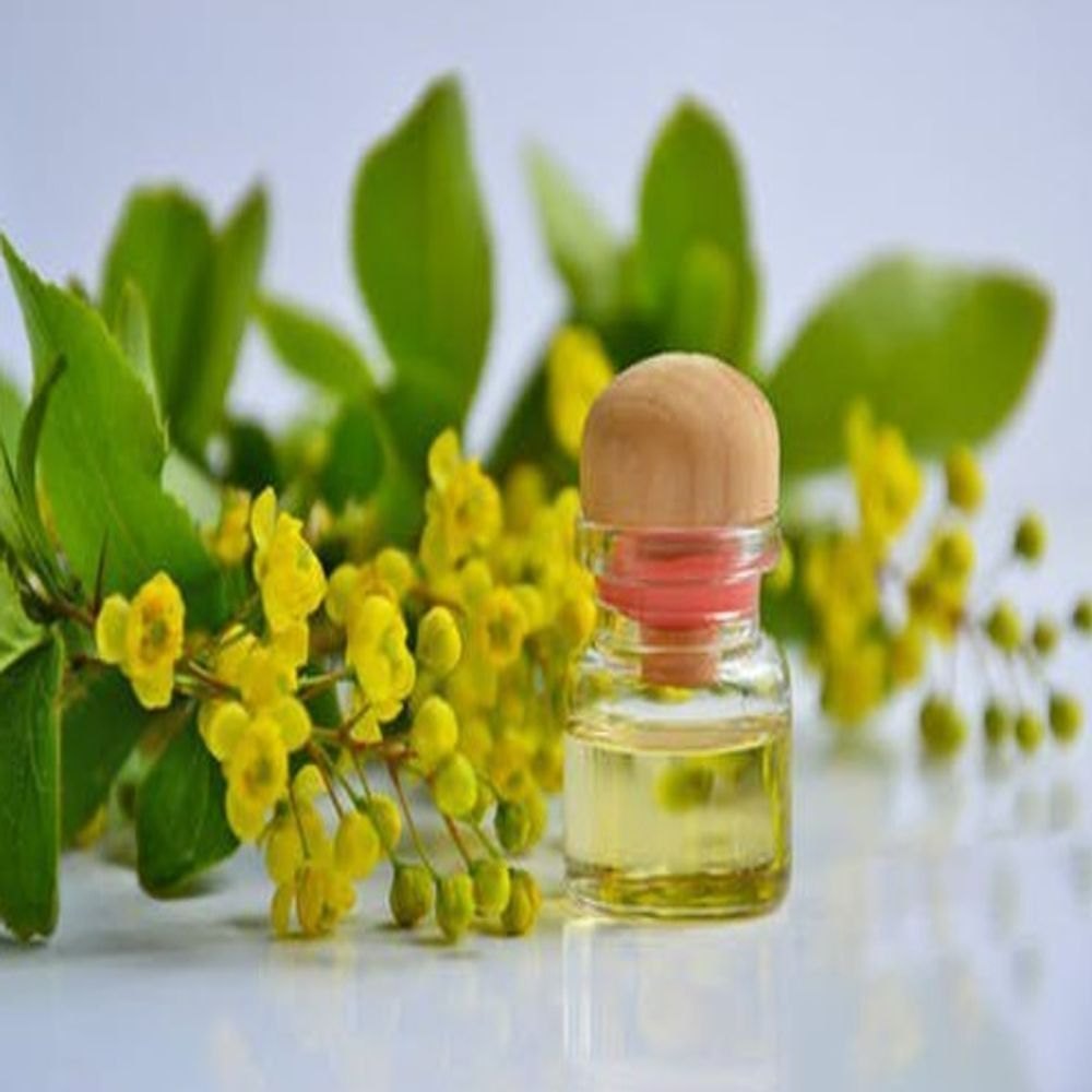 Elemi Essential Oil