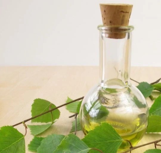 Birch Sweet Essential Oil