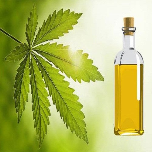 Katyani Exports Birch Rect. Oil