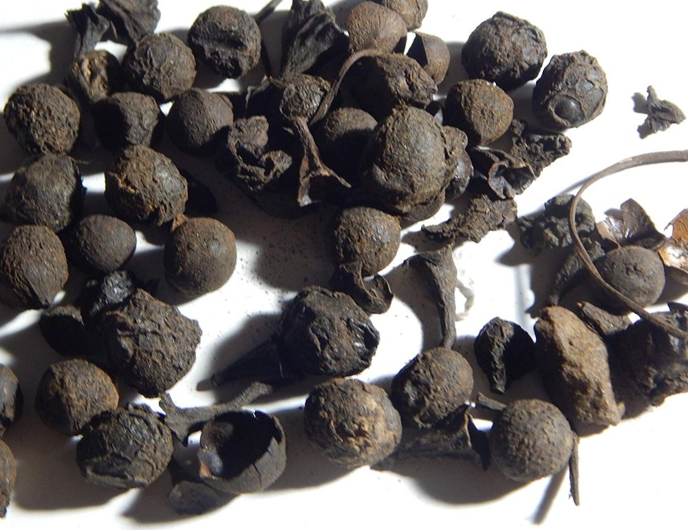 KS Essentials Cinnamomum Glaucescens Sugandh Kokila Oil