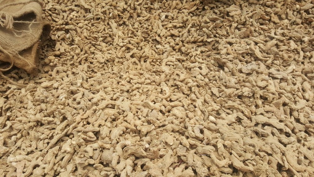 Dry Ginger, Packaging Size: 200g, Packaging: Packet