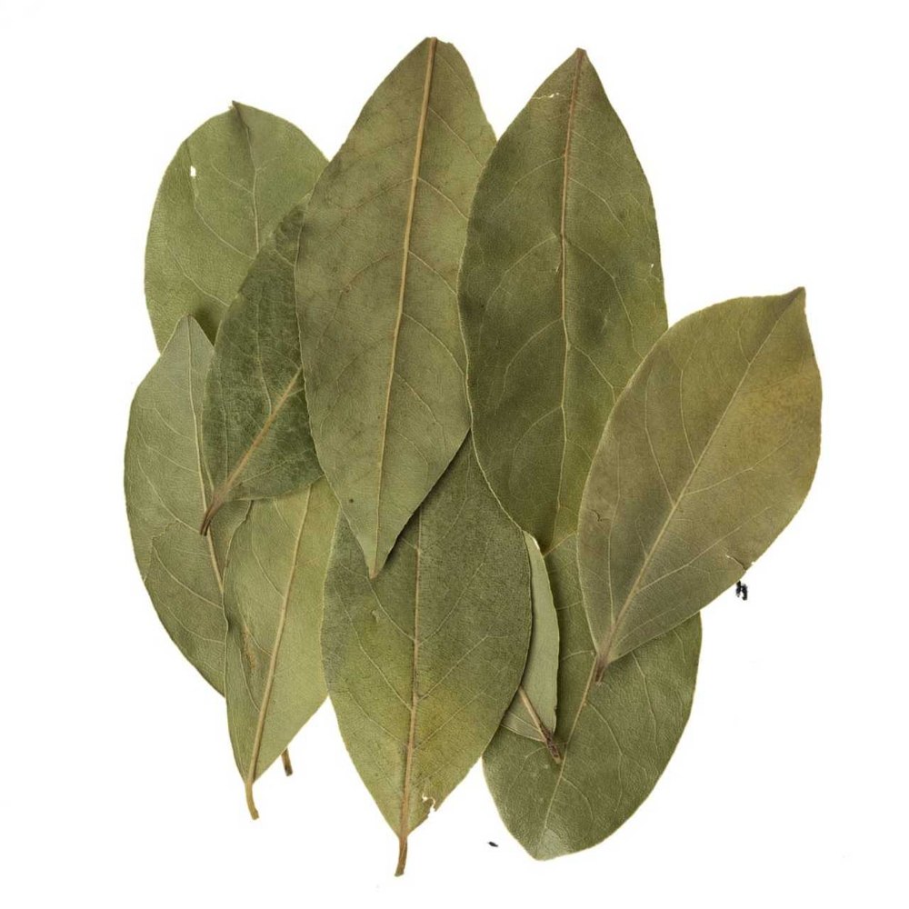 Dark Green Good Bay Leaves, Packaging Type: Plastic Bag & Jute Bag