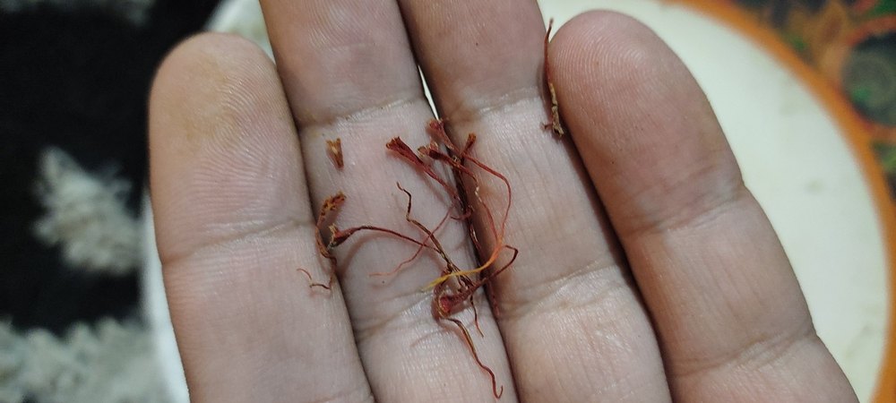 Littleson healthcare Natural Kashmiri Saffron, For Food, Packaging Type: Plastic Box