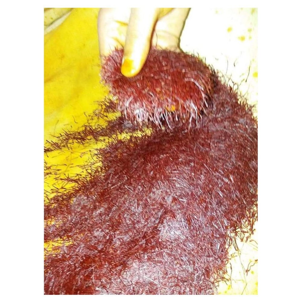 Irani Saffron, Packaging Size: 1 Kg, Packaging Type: Packet