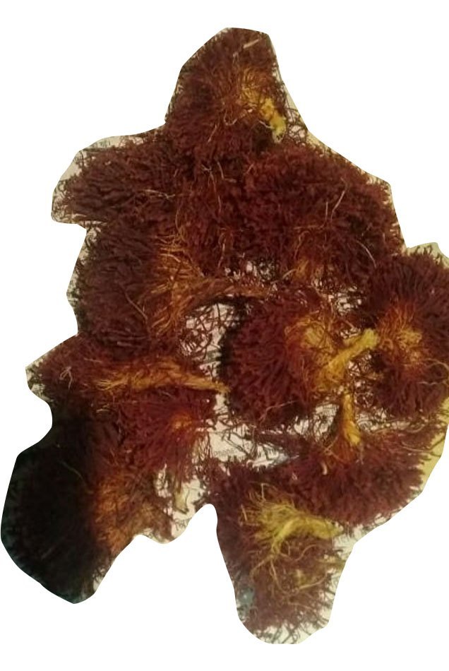 Kishtwar Gucchi Natural Saffron, Packaging Type: Vacuum Bag