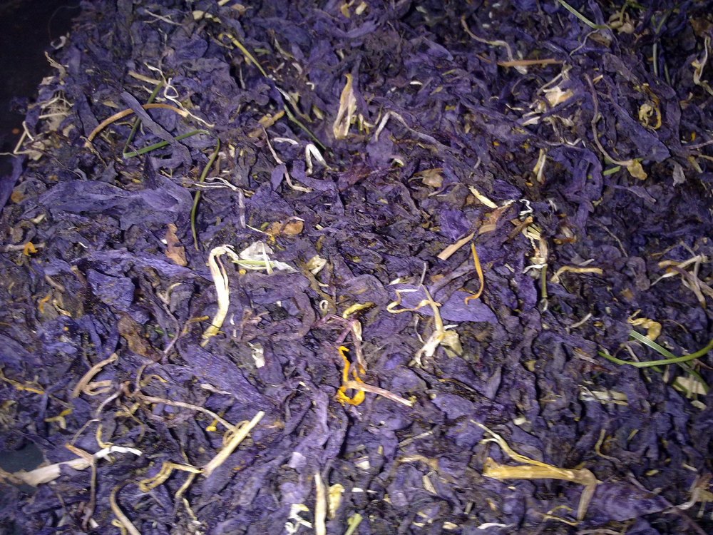 Saffron Petals