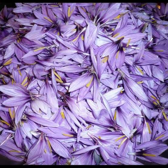 Saffron Flowers Petals