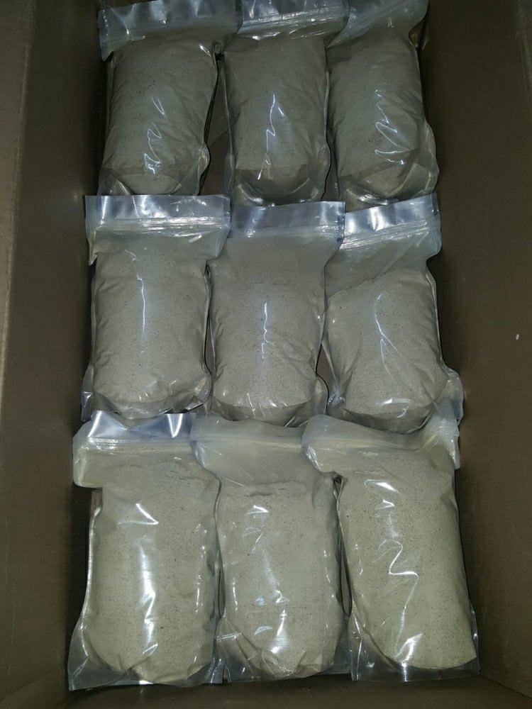 PRAMUKH MUSHROOMS White Oyster Mushroom 100% PURE Powder, Packaging Type: Pouch, Packaging Size: 1 kg