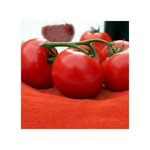Greenwell Red Spray Dried Tomato Powder, Packaging Size: 5 Kg, Packaging: Plastic Bag or Polythen
