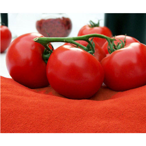 Nasik Tomato Powder, Pesticide Free (for Raw Products), Packaging: Carton