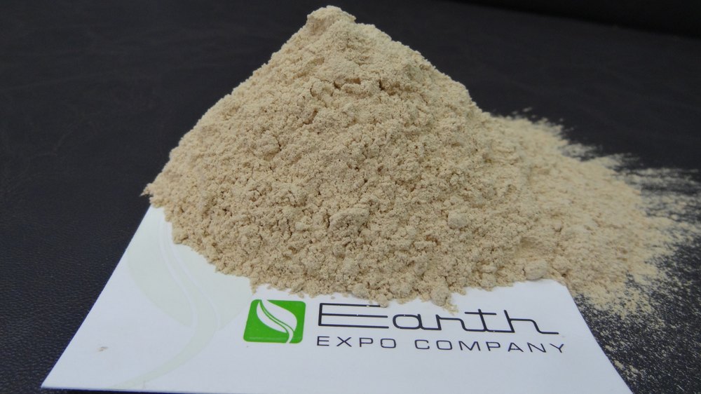 25 kg Garlic Powder, Packaging: Plastic Bag