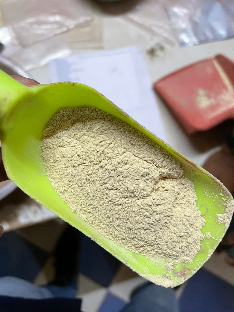 Garlic Powder, Packaging Type: Plastic Bag, Packaging Size: 25 Kg