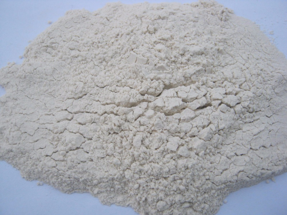Herbo Nutra White Spray Dried Garlic Powder, Dry Place, Packaging Type: Packet