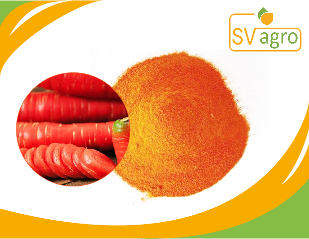 SV Agro Natural Organic Spray Dried Carrot Juice Powder