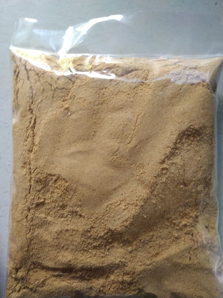 Venus Moringa Stick Drumstick Powder, Packaging Type: HDPE BAG, Packaging Size: 25 Kg