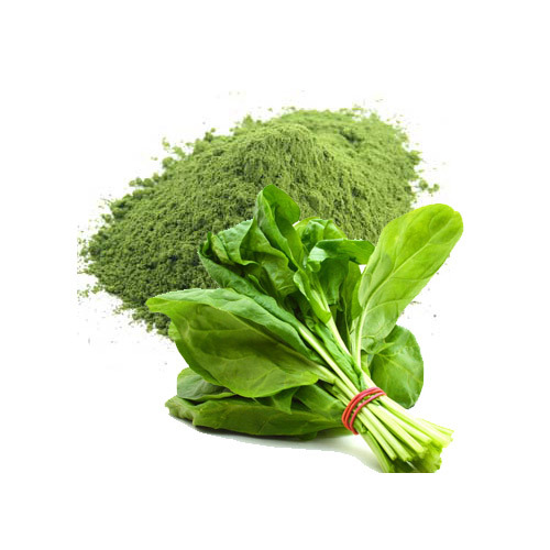 Greenwell Green Spray Dried Spinach Powder