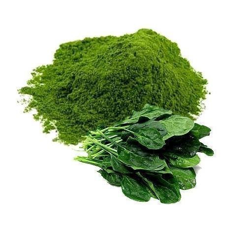 Drygrab Green Spinach Leaf Powder, Packaging Size: 1 kg