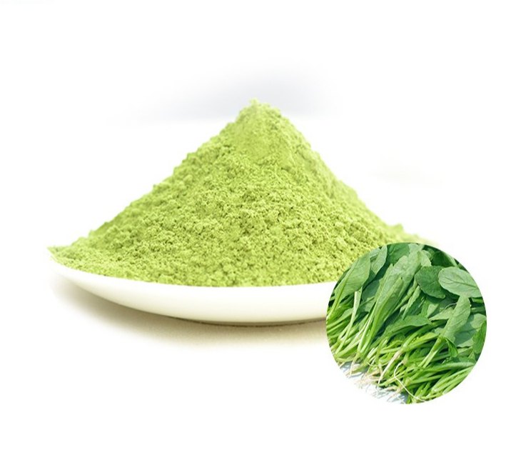 Dried Powder Regular Kitchen Supplement Dehydrated Spinach Powder., Packaging Type: HDPE BAG, Packaging Size: 25 Kg