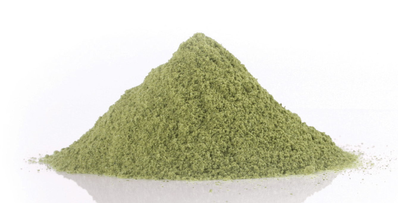 Herbo Nutra Green Spray Dried Spinach Powder, Packaging Type: Packet, Packaging Size: 200g