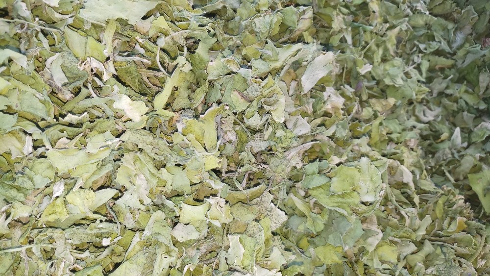 ARYAN Green Dried Spinach Powder, Packaging Type: HDPE BAG, Packaging Size: loose