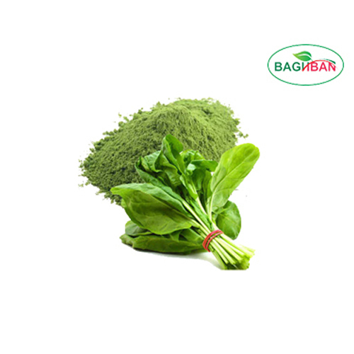 Light Green Spinach Powder, Packaging Type: carton, Packaging Size: 20kg