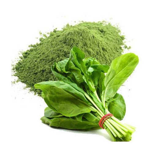 Tulsi Dehydrated Spinach Leaves Powder, Packaging Type: Packet, Packaging Size: 5 Kg