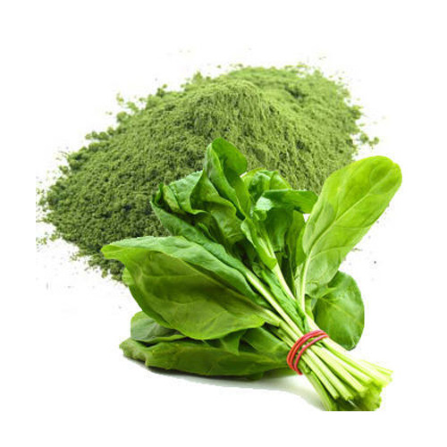 Rainbow Green Spray Dried Spinach Powder