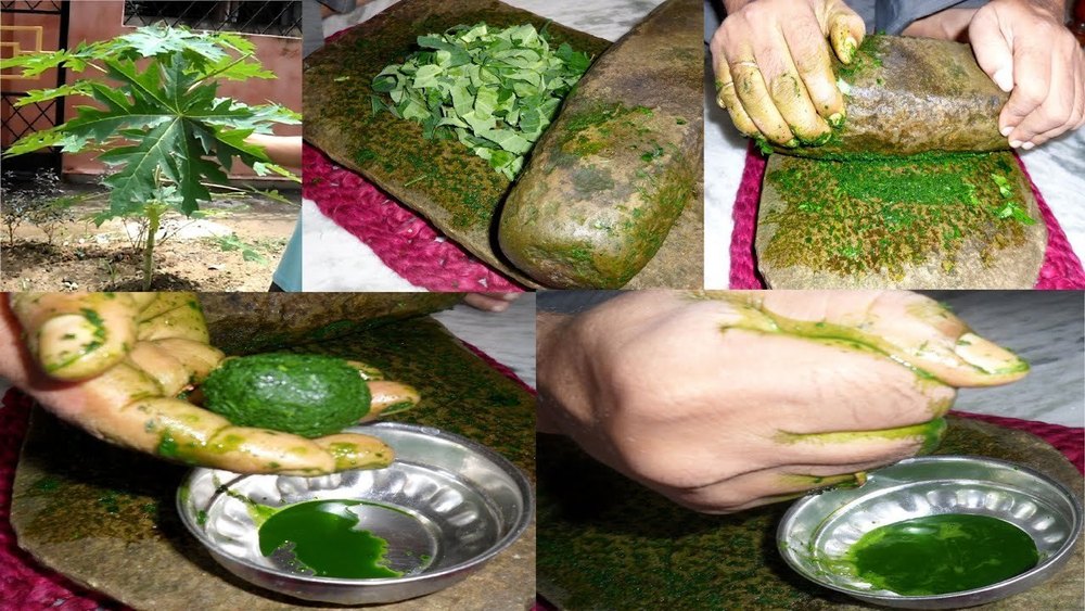 Papaya Leaf Juice, Packaging Size: 500 ml, Packaging Type: Bottle