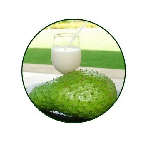 Soursop Juice, Packaging Size: 1000 ml, Packaging Type: Bottle