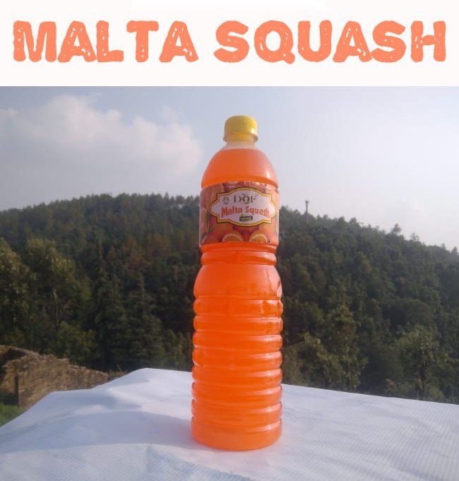 Real 1000 ml Malta Squash