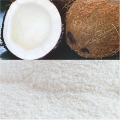 Spray Dried Coconut Water Powder