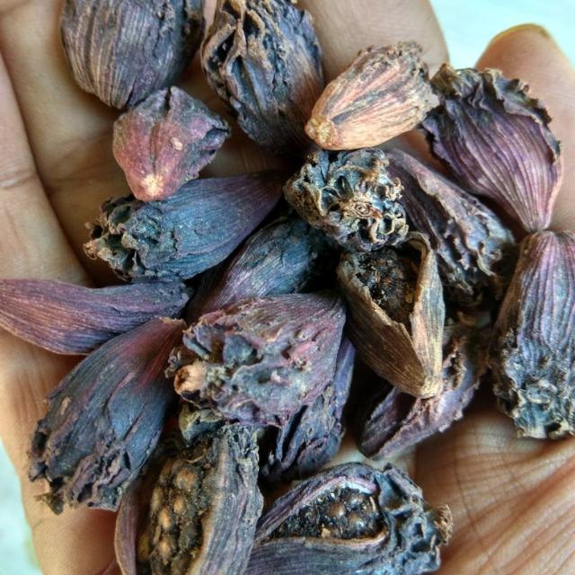 CHOICE SPICES Dry Black Cardamom, Packaging Size: 10 Kg