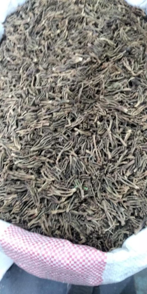 Brown Whole Brahm Long Dandi, Packaging Size: 5 Kg