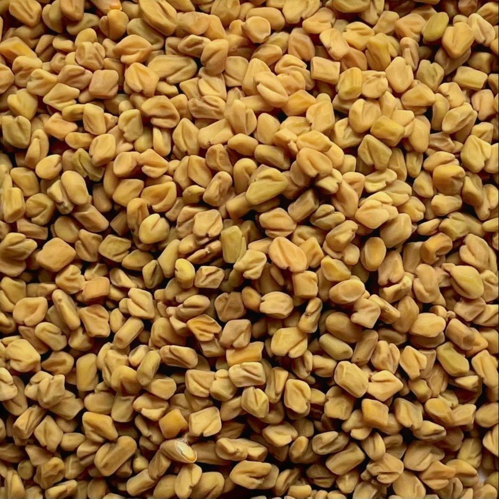 Yellow Organic Fenugreek Seeds