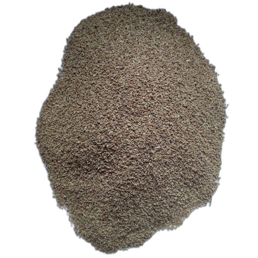 Green Organic Ajwain Seeds