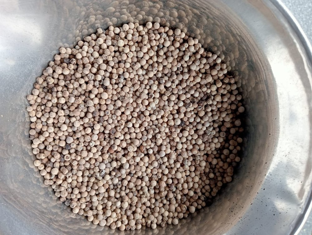 Dry Organic White Pepper