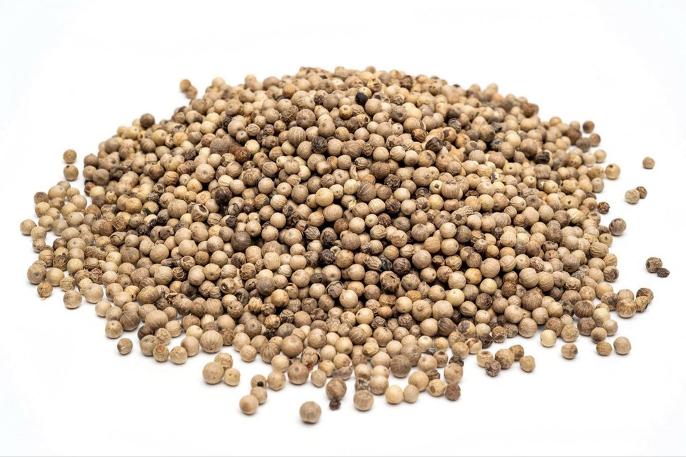 A Grade Dry Whole White Pepper Seed