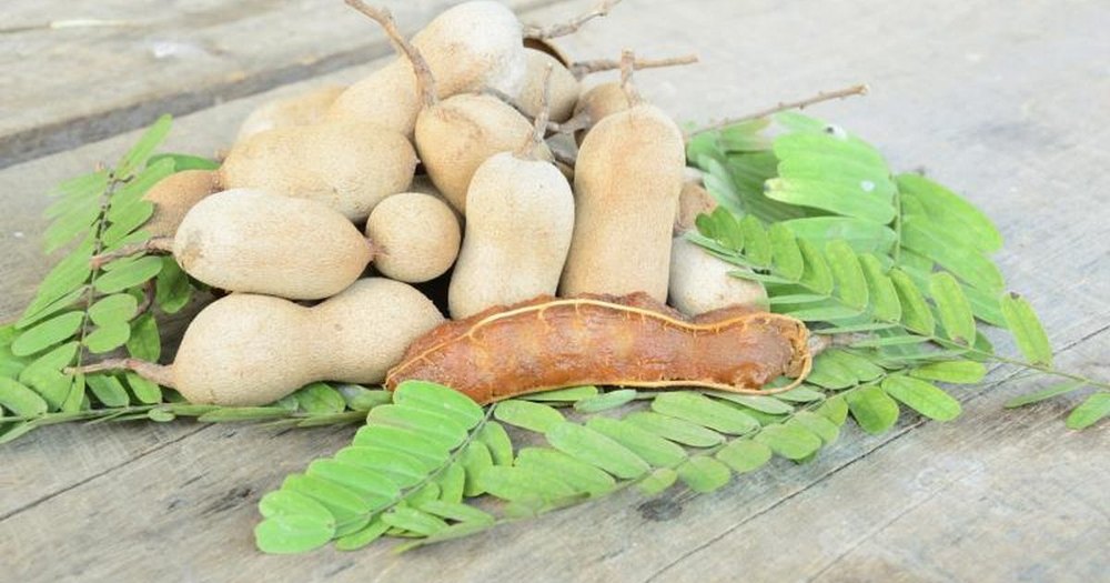 Tamarind Concentrate