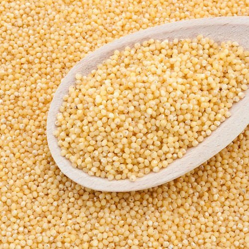 Indian Go Earth Organic Oragnic Bajari / Millet