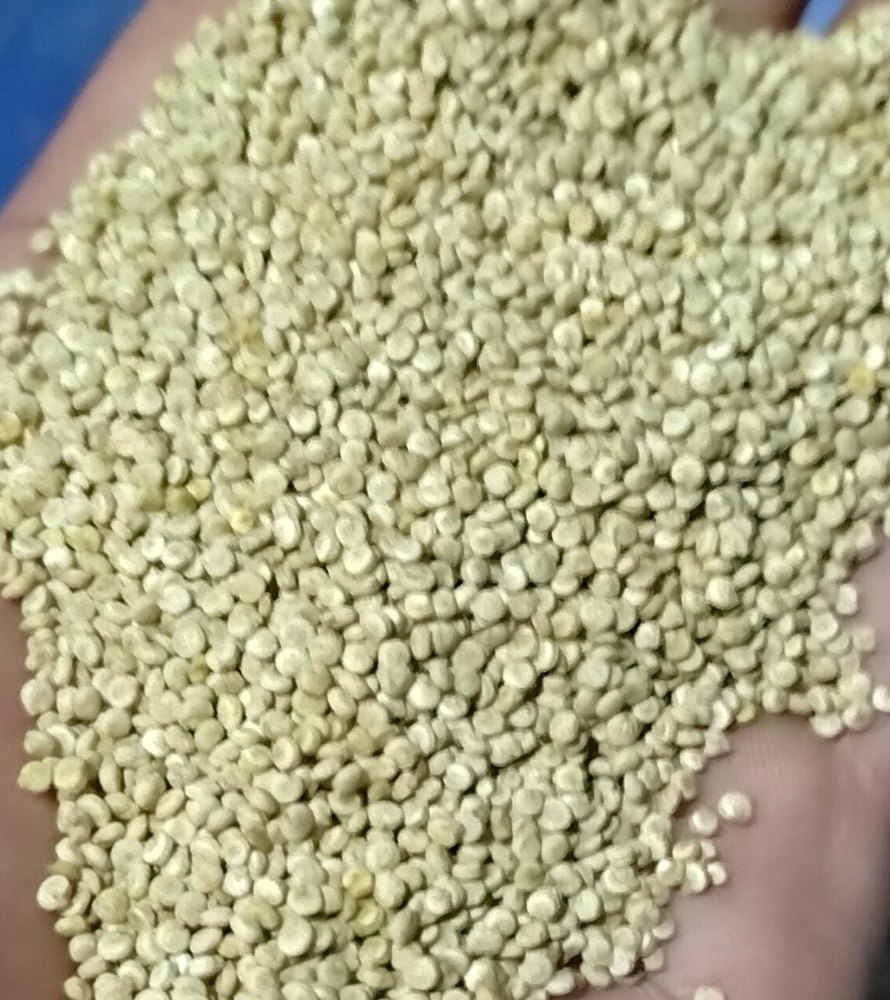 Indian Quinoa Seeds, Packaging Size: 50kg, High in Protein