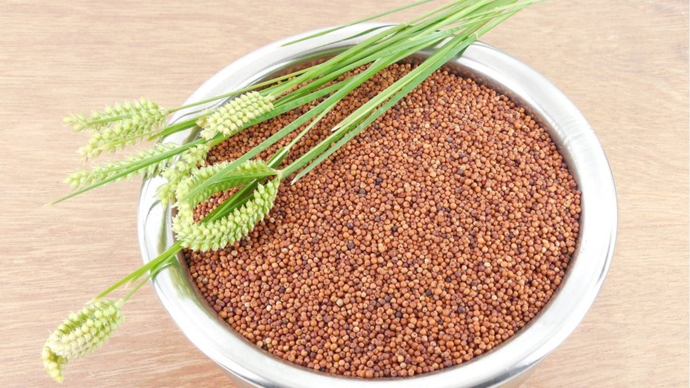 Sweet Brown Organic Ragi Seeds