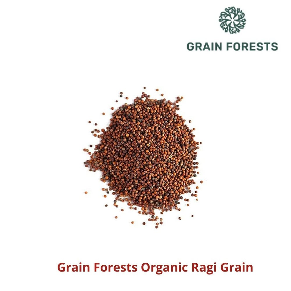 Indian Vegetarian Grain Forests Organic Ragi, Packaging Type: Loose