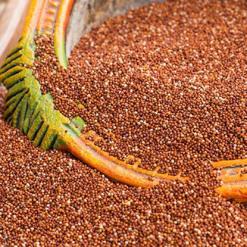 Dry Organic Finger Millet