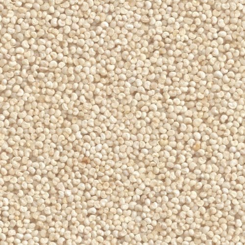 Indian Organic White Ragi, Packaging Size: 20 Kg