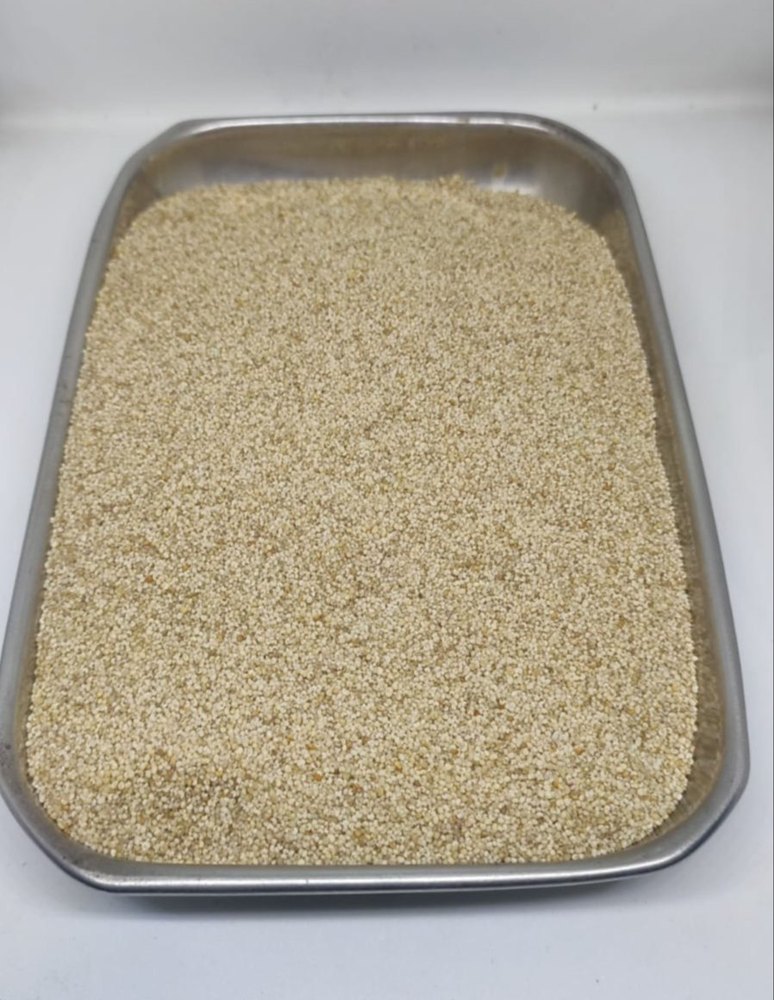 Indian Organic Wheat Daliya, For Food, High in Protein